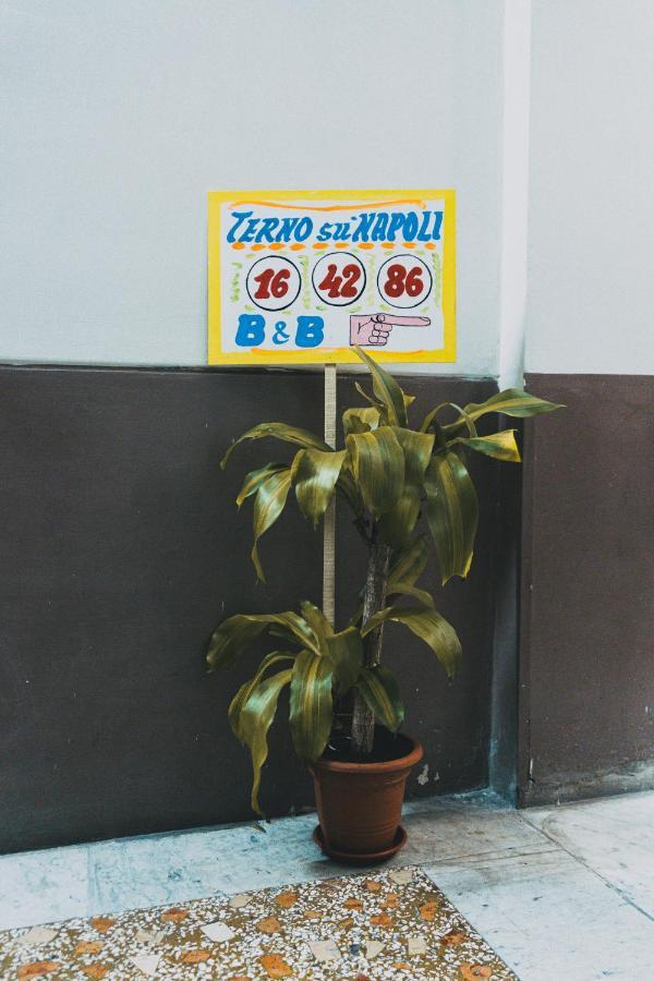 Bed and Breakfast Terno Su Napoli Екстер'єр фото